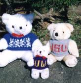 Small Bear Sweater Vests Pattern